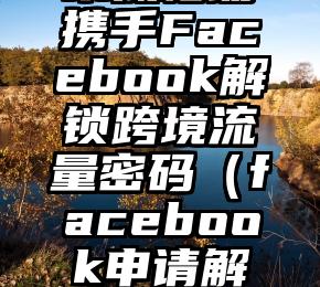 木瓜移动携手Facebook解锁跨境流量密码（facebook申请解封）