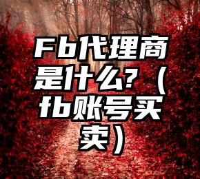 Fb代理商是什么?（fb账号买卖）
