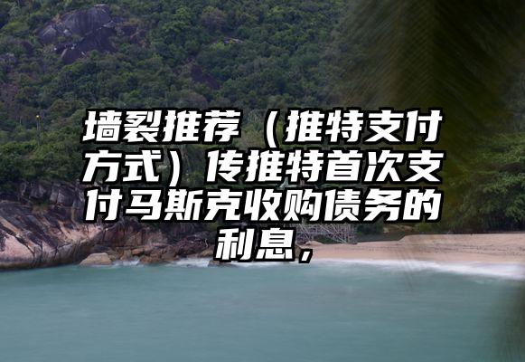 墙裂推荐（推特支付方式）传推特首次支付马斯克收购债务的利息，