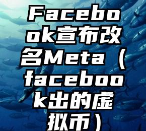 Facebook宣布改名Meta（facebook出的虚拟币）