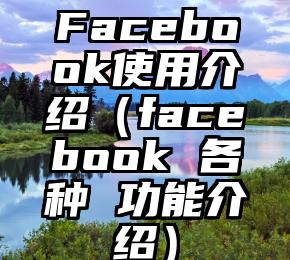 Facebook使用介绍（facebook 各种 功能介绍）