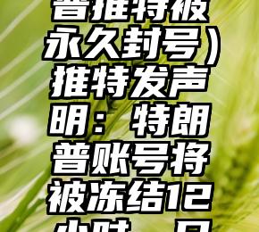 万万没想到（特朗普推特被永久封号）推特发声明：特朗普账号将被冻结12小时，日后违规将永久封禁，