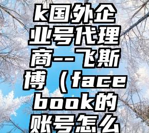 facebook国外企业号代理商--飞斯博（facebook的账号怎么注册）