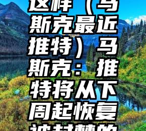 居然可以这样（马斯克最近推特）马斯克：推特将从下周起恢复被封禁的账户，