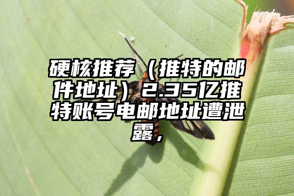 硬核推荐（推特的邮件地址）2.35亿推特账号电邮地址遭泄露，