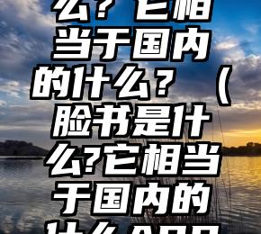 脸书是什么？它相当于国内的什么？（脸书是什么?它相当于国内的什么APP）