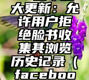 Facebook宣布重大更新：允许用户拒绝脸书收集其浏览历史记录（facebook怎么看访问记录）