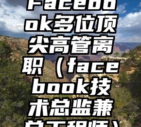 Facebook多位顶尖高管离职（facebook技术总监兼总工程师）