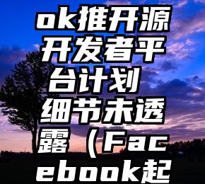 Facebook推开源开发者平台计划 细节未透露（Facebook起源）