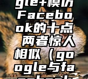 细数Google+模仿Facebook的十点 两者惊人相似（google与facebook的竞争）