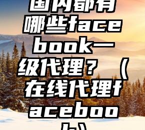 国内都有哪些facebook一级代理？（在线代理facebook）