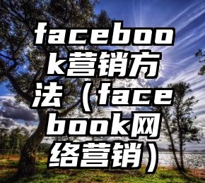 facebook营销方法（facebook网络营销）