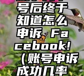 废了几个号后终于知道怎么申诉 Facebook!（账号申诉成功几率大吗）