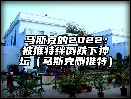 马斯克的2022：被推特绊倒跌下神坛（马斯克删推特）