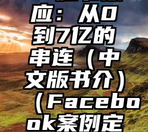 Facebook脸书效应：从0到7亿的串连（中文版书介）（Facebook案例定价合理吗?）