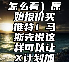 速看(马斯克推特怎么看)原始报价买推特!马斯克说这样可以让X计划加速3至5年,