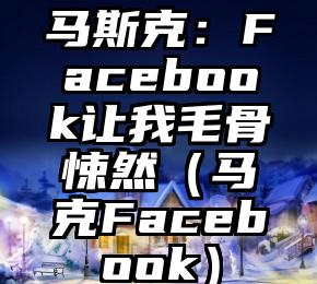 马斯克：Facebook让我毛骨悚然（马克Facebook）
