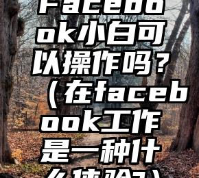 Facebook小白可以操作吗？（在facebook工作是一种什么体验?）