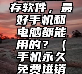 有没永久免费进销存软件，最好手机和电脑都能用的？（手机永久免费进销存管理软件）