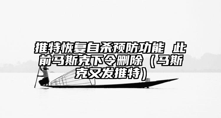 推特恢复自杀预防功能 此前马斯克下令删除（马斯克又发推特）