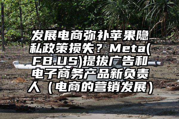 发展电商弥补苹果隐私政策损失？Meta(FB.US)提拔广告和电子商务产品新负责人（电商的营销发展）