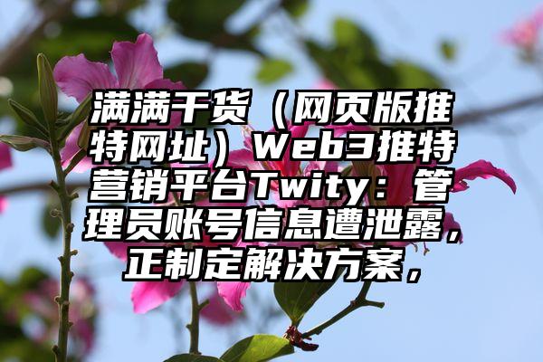 满满干货（网页版推特网址）Web3推特营销平台Twity：管理员账号信息遭泄露，正制定解决方案，