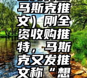 满满干货（官方将查马斯克推文）刚全资收购推特，马斯克又发推文称“想买下可口可乐”，