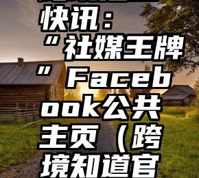 跨境知道快讯：“社媒王牌”Facebook公共主页（跨境知道官网）