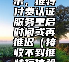 有消息显示，推特付费认证服务重启时间或再推迟（接收不到推特短信验证）