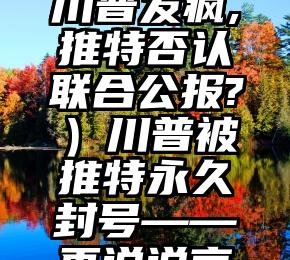 燃爆了（川普发疯,推特否认联合公报?）川普被推特永久封号——再说说言论自由，