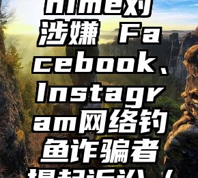Meta & Chime对涉嫌 Facebook、Instagram网络钓鱼诈骗者提起诉讼（cocochoo鞋）