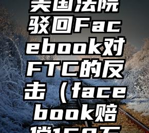 难逃反垄断制裁 美国法院驳回Facebook对FTC的反击（facebook赔偿160万用户6.5亿美元）