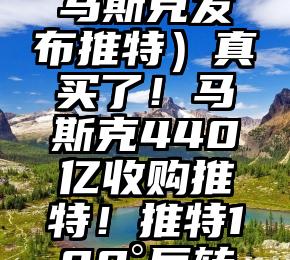 难以置信（马斯克发布推特）真买了！马斯克440亿收购推特！推特180°反转…，