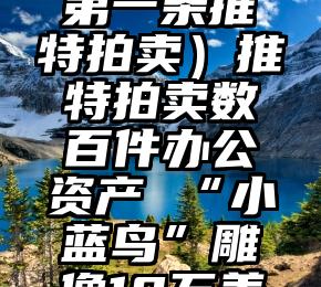 干货分享(第一条推特拍卖)推特拍卖数百件办公资产 “小蓝鸟”雕像10万美元成交,