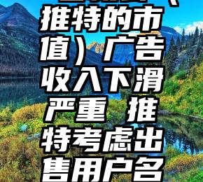 一看就会(推特的市值)广告收入下滑严重 推特考虑出售用户名提振收入,