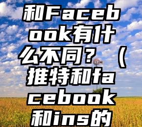 Twitter和Facebook有什么不同？（推特和facebook和ins的区别）