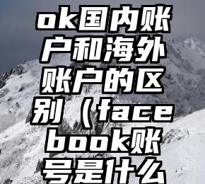 Facebook国内账户和海外账户的区别（facebook账号是什么意思）