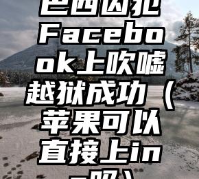 巴西囚犯Facebook上吹嘘越狱成功（苹果可以直接上ins吗）