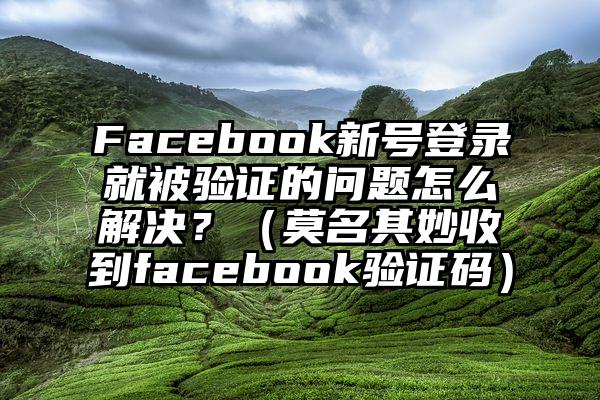 Facebook新号登录就被验证的问题怎么解决？（莫名其妙收到facebook验证码）