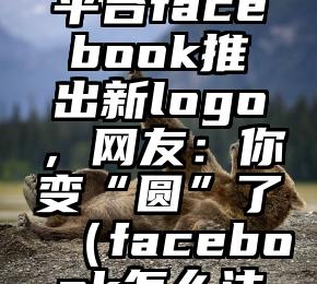 全球最受欢迎社交平台facebook推出新logo，网友：你变“圆”了（facebook怎么注册登录不了）