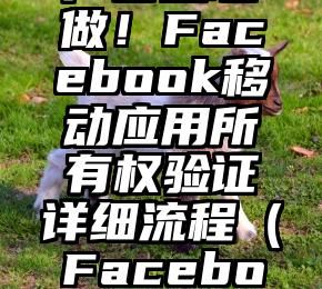 应用APP广告主必做！Facebook移动应用所有权验证详细流程（Facebook广告形式）