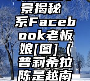 普莉希拉·陈生世背景揭秘 系Facebook老板娘[图]（普莉希拉陈是越南裔还是华裔）