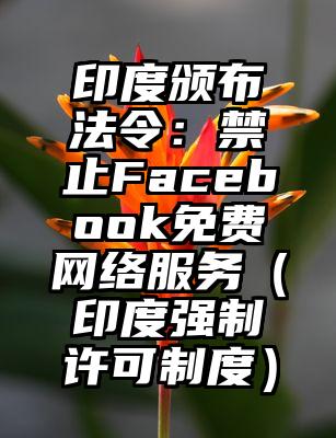 印度颁布法令：禁止Facebook免费网络服务（印度强制许可制度）