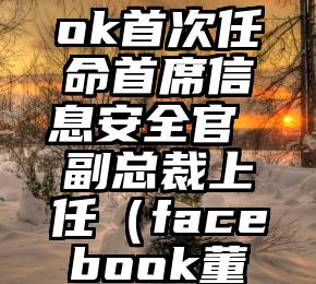 Facebook首次任命首席信息安全官 副总裁上任（facebook董事会成员）