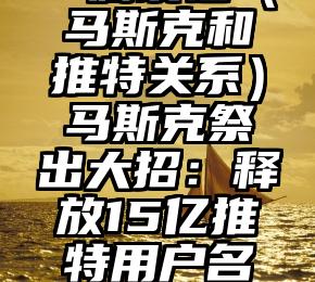 一篇读懂（马斯克和推特关系）马斯克祭出大招：释放15亿推特用户名让你买，