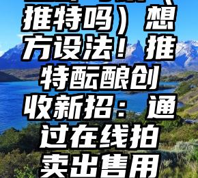 这都可以（推特吗）想方设法！推特酝酿创收新招：通过在线拍卖出售用户名，