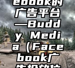 走近Facebook的广告平台—Buddy Media（Facebook广告投放位置）