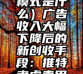 全程干货（广告创收模式是什么）广告收入大幅下降后的新创收手段：推特考虑卖用户名来提振收入，
