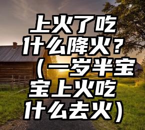 上火了吃什么降火？（一岁半宝宝上火吃什么去火）