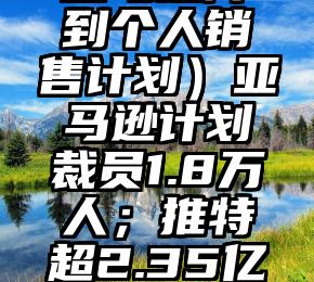 学到了吗（亚马逊降到个人销售计划）亚马逊计划裁员1.8万人；推特超2.35亿个账户数据泄露，